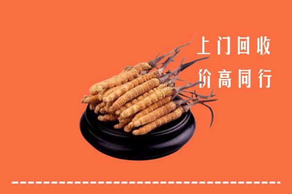 高价求购：宁津县回收散虫草