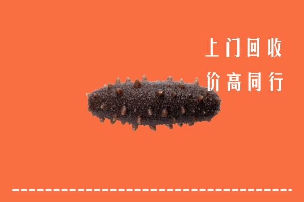 高价求购：宁津县回收海参