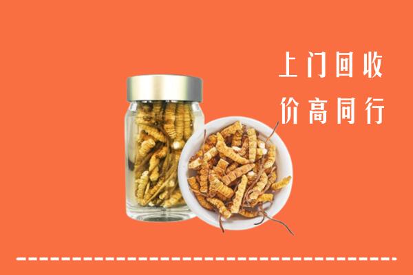 宁津县回收冬虫夏草